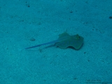 20081020-pdv-0009