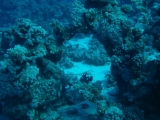 20081021-pdv-12