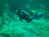 pdv-20100503-1794