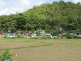 pdv-20100504-0451