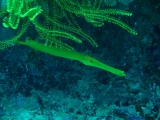 20100505-pdv-07749