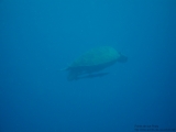 20100505-pdv-07843