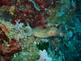 20100505-pdv-07906