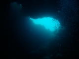 20100505-pdv-07912